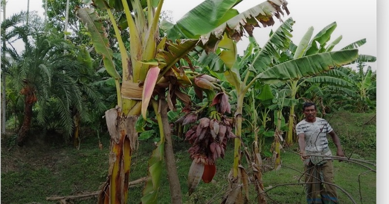 ছবি: প্রতিনিধি