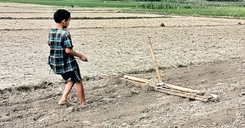ছবি : প্রতিনিধি