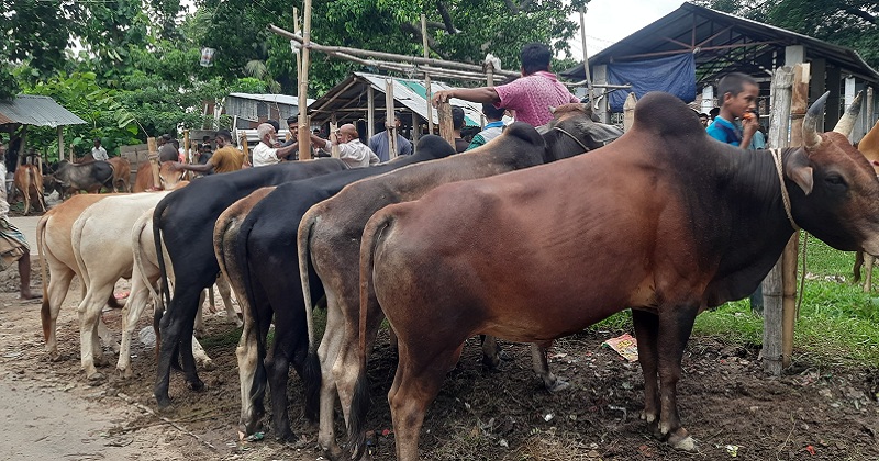 ছবি: খোলা কাগজ