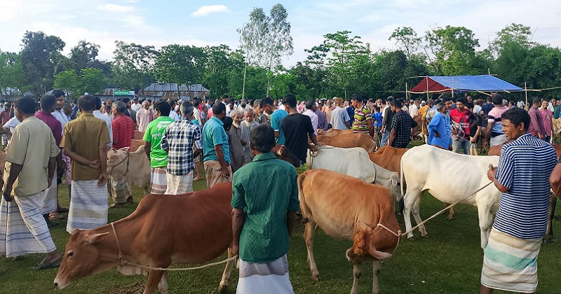 ছবি : প্রতিনিধি