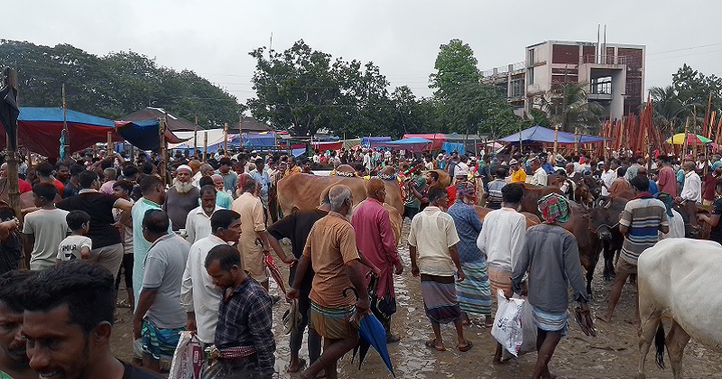 ছবি : প্রতিনিধি