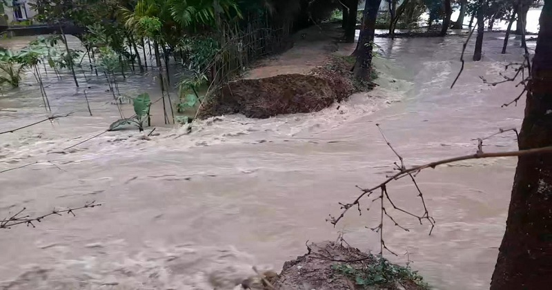 ছবি: খোলা কাগজ