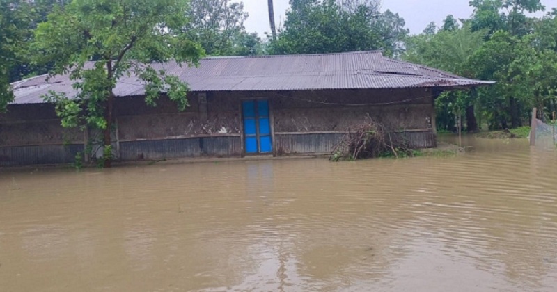 ছবি: খোলা কাগজ