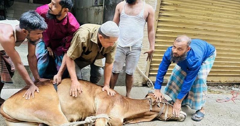 ফাইল ছবি