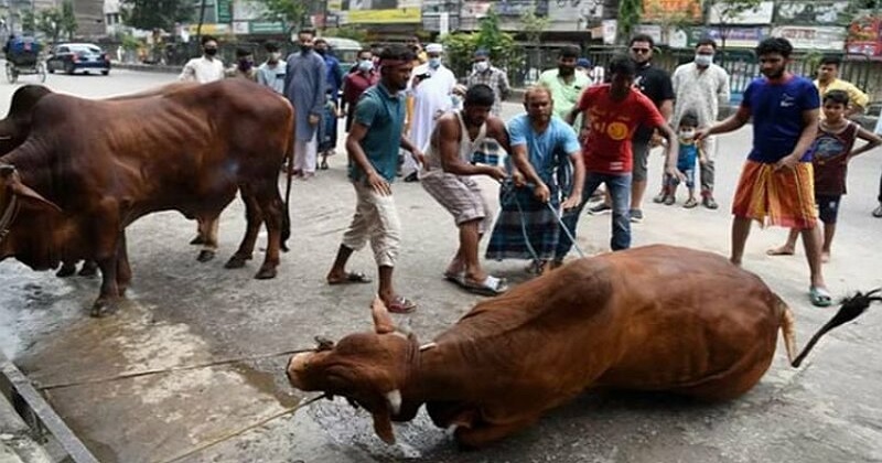 ছবি : সংগৃহীত