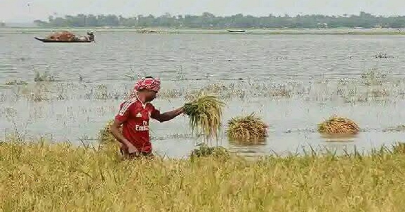 ছবি : প্রতিনিধি