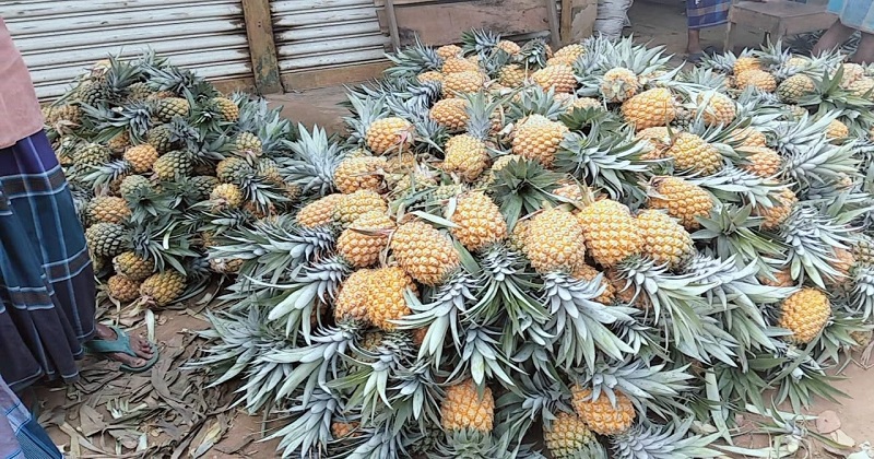 ছবি: খোলা কাগজ