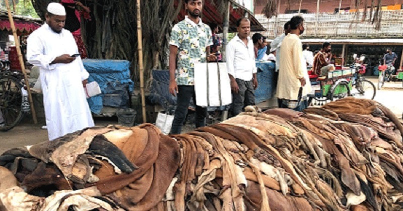 কুরবানির চামড়া : দানের পুণ্য থেকে দানবীয় সিন্ডিকেটে