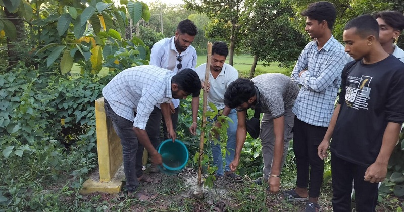 ফেনীতে তারেক রহমানের নির্দেশনায় বৃক্ষরোপণ কর্মসূচি পালিত