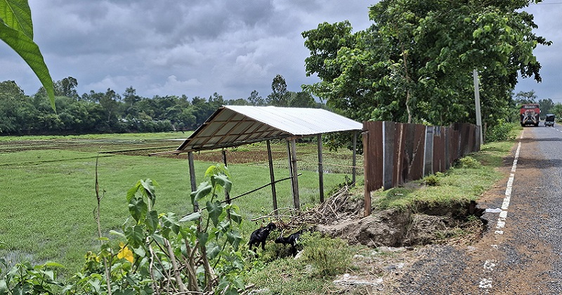 ছবি : প্রতিনিধি