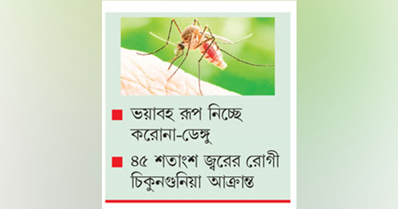 ছবি: খোলা কাগজ