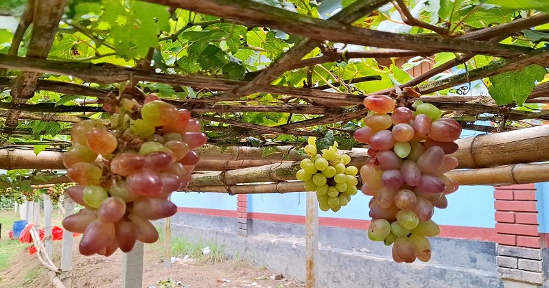 ছবি : প্রতিনিধি