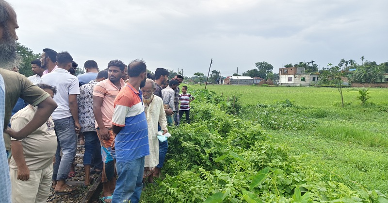 ছবি: খোলা কাগজ