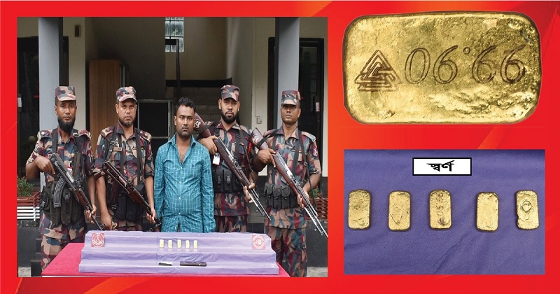 ছবি: খোলা কাগজ