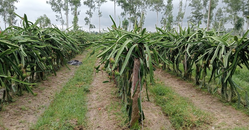 ছবি: খোলা কাগজ
