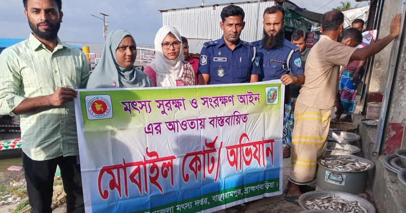 ছবি: খোলা কাগজ