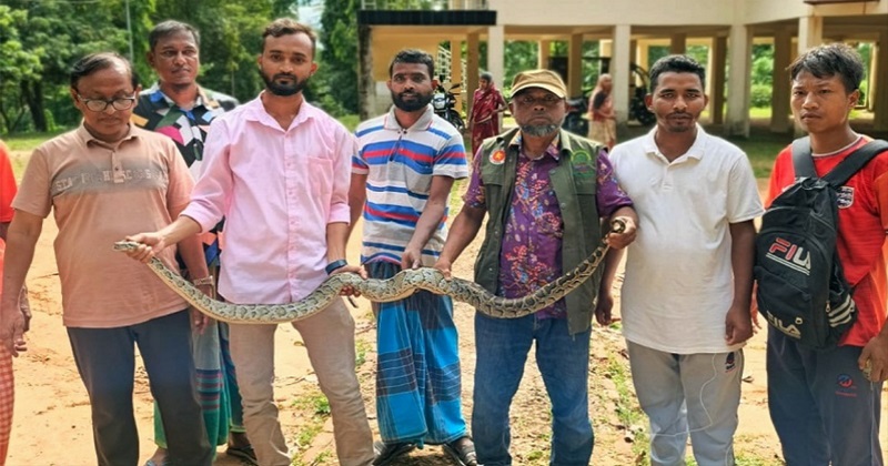 ছবি : প্রতিনিধি