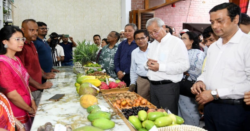 পাহাড়ি ফল শুধু সুস্বাদুই নয়, এগুলো অর্গানিক খাদ্য: পার্বত্য উপদেষ্টা
