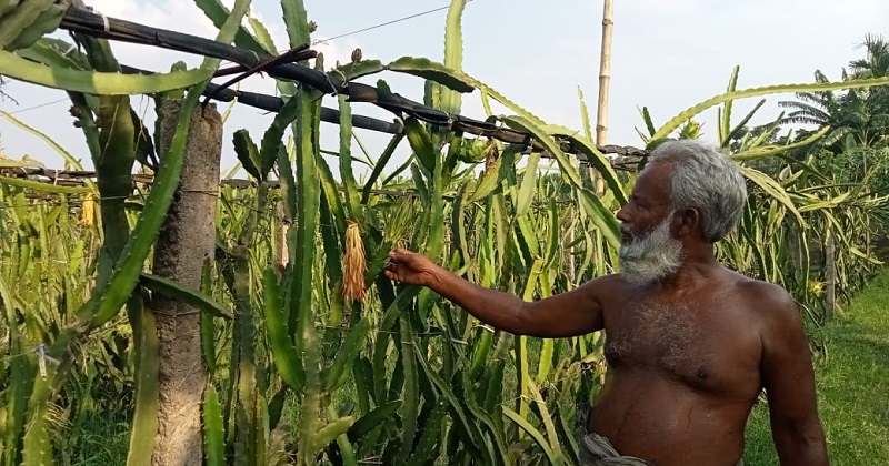 ছবি : প্রতিনিধি