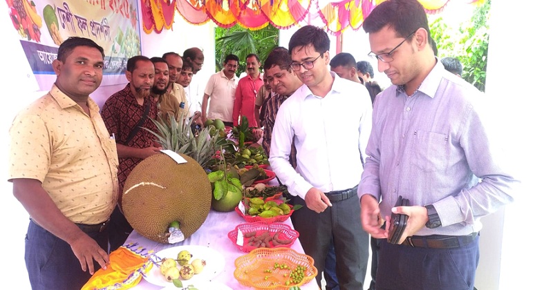 ছবি: খোলা কাগজ