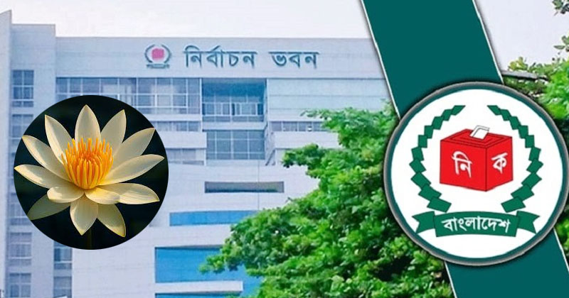 ছবি: খোলা কাগজ