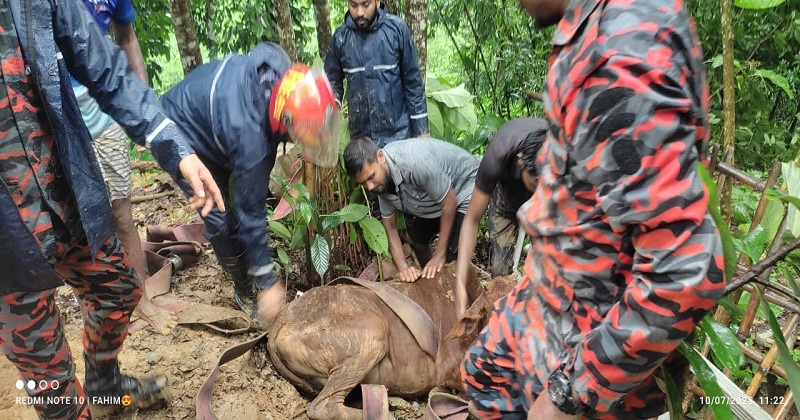 ছবি: প্রতিনিধি
