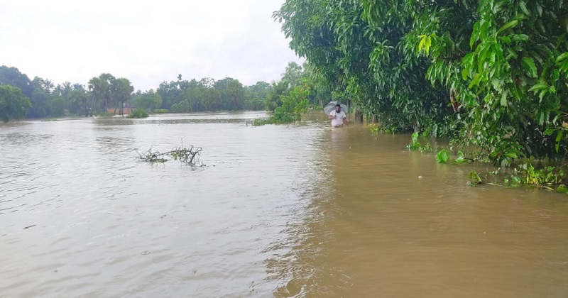 ছবি : প্রতিনিধি