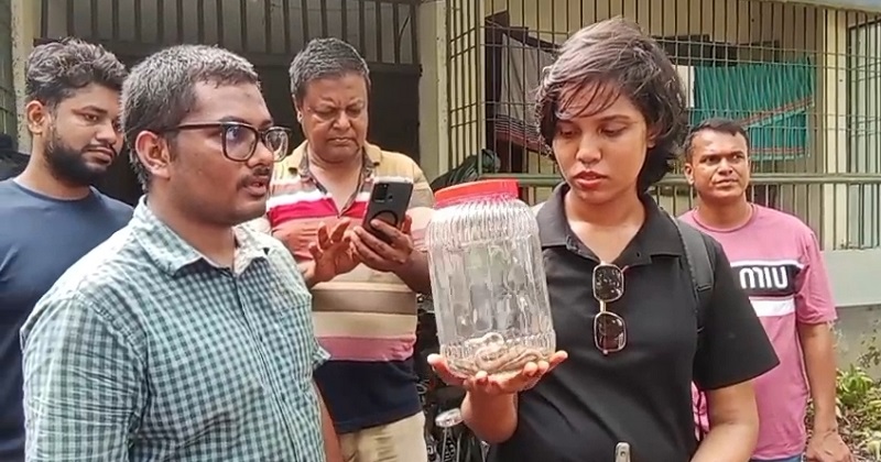 উদ্ধারকৃত সাপের বাচ্চা। ছবি : প্রতিনিধি