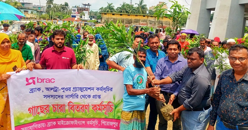 ছবি : খোলা কাগজ