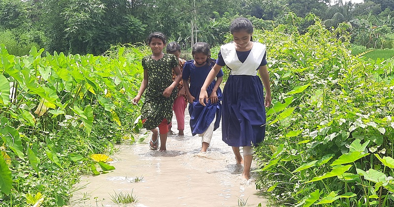 ছবি : প্রতিনিধি