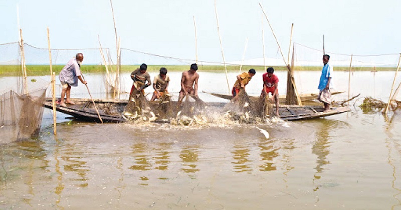 ফাইল ছবি