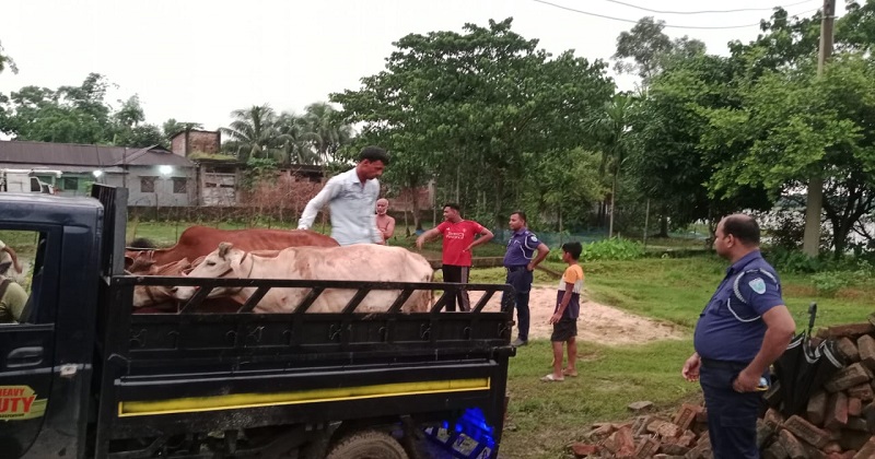 ছবি : প্রতিনিধি