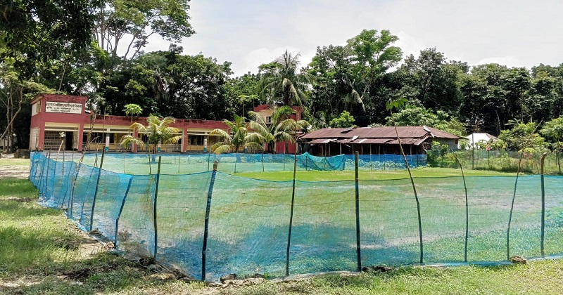 ছবি : প্রতিনিধি