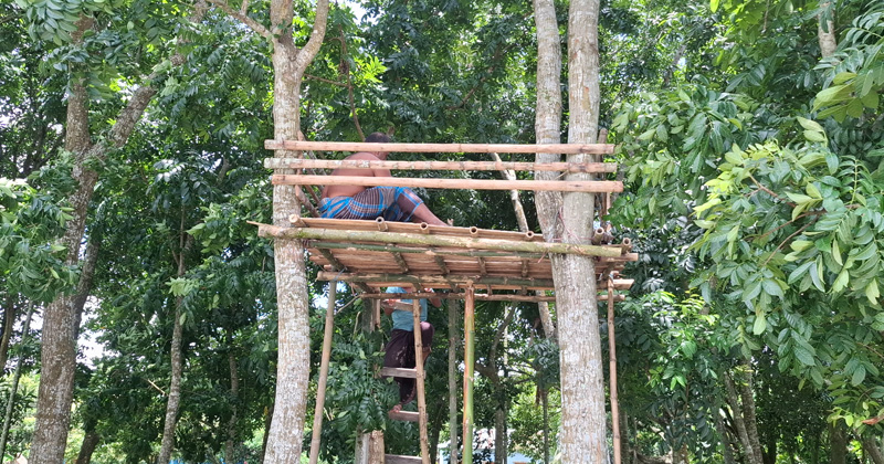 ছবি : প্রতিনিধি