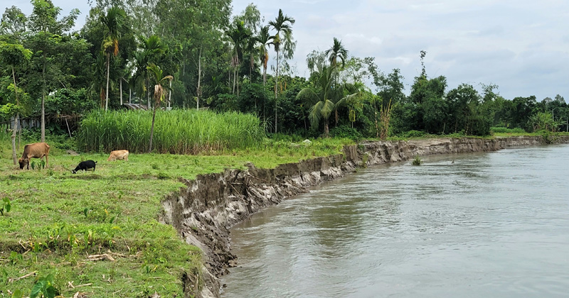 ছবি : প্রতিনিধি