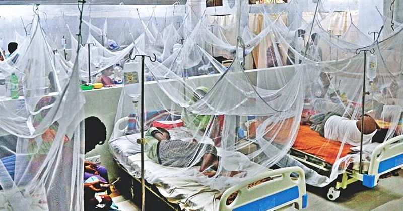 ডেঙ্গুতে আরও ৩ জনের মৃত্যু, হাসপাতালে ৪০৯
