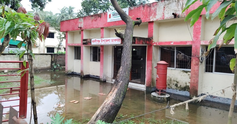 ছবি : প্রতিনিধি