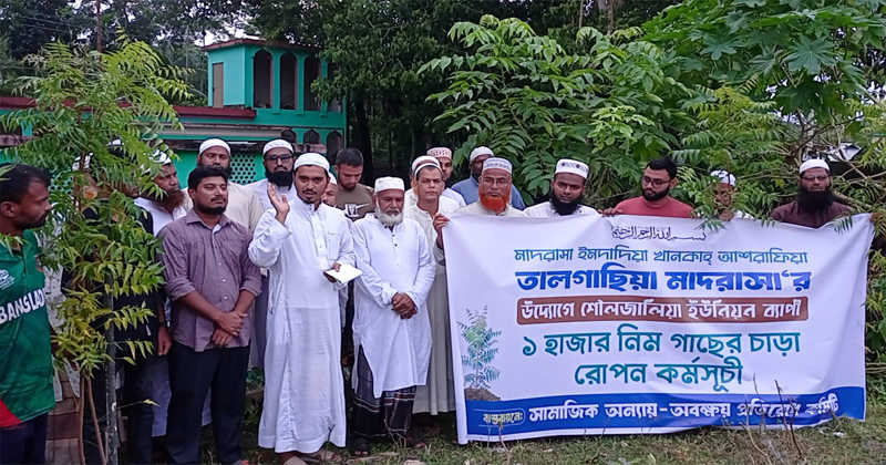 কাঁঠালিয়ায় ঔষধি গাছ নিমের চারা রোপণ