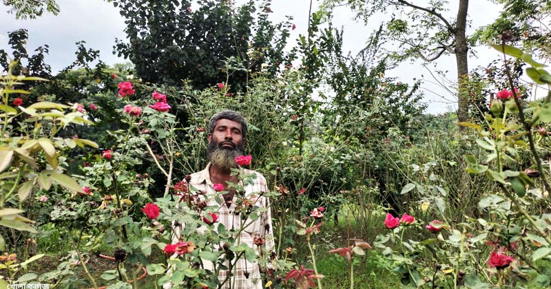 ছবি : খোলা কাগজ