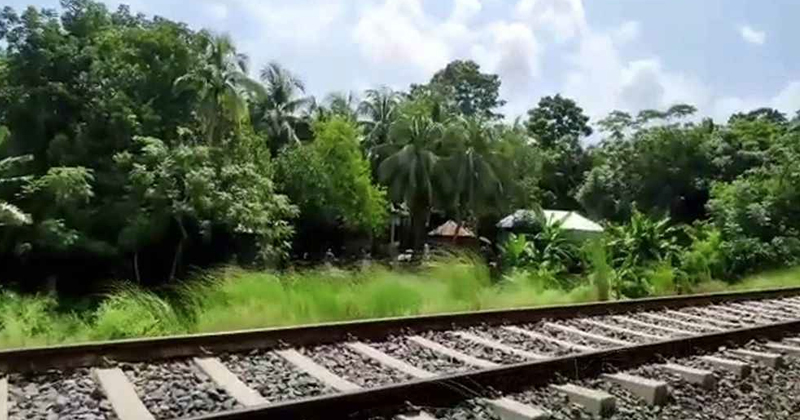 ফাইল ছবি