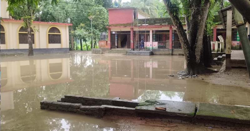 সাটুরিয়ায় সামান্য বৃষ্টিতেই বিদ্যালয়ে হাঁটু পানি