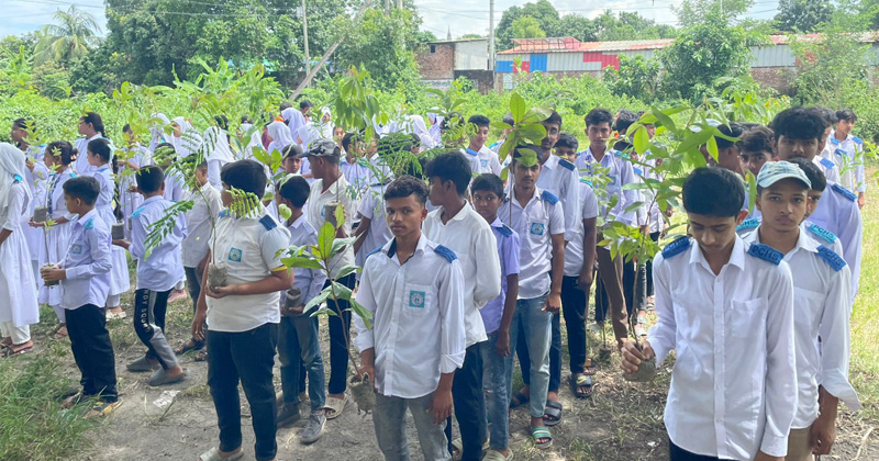 ছবি : প্রতিনিধি