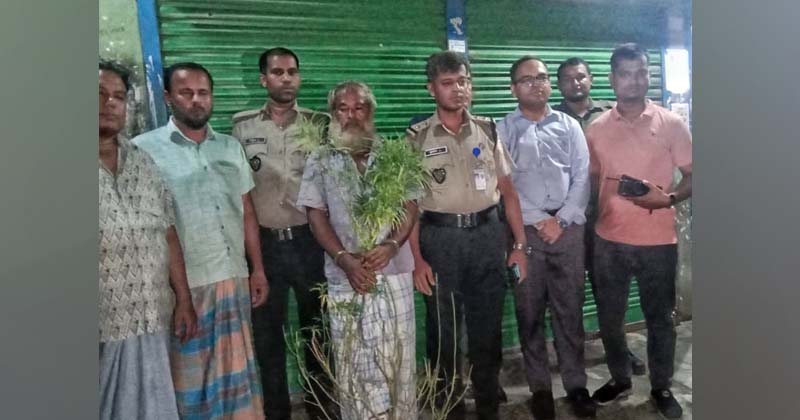 ছবি : খোলা কাগজ