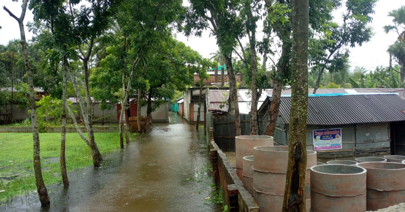 ছবি : প্রতিনিধি