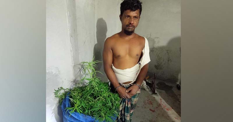 ছবি : প্রতিনিধি