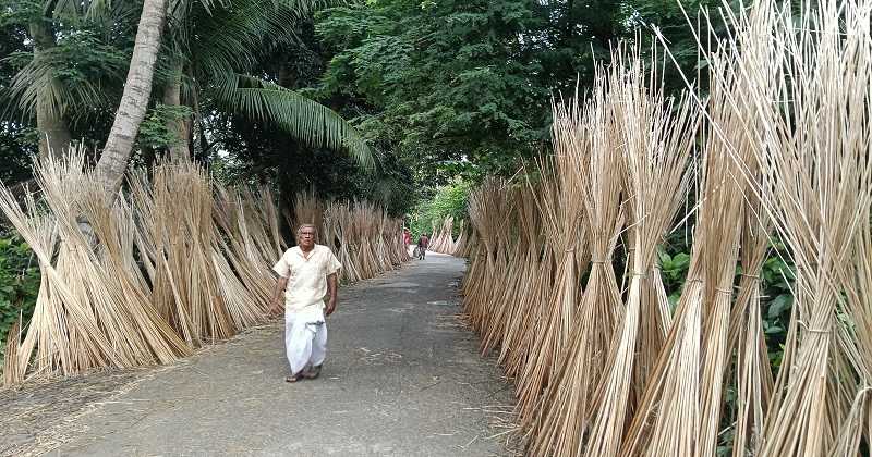 ছবি: উপজেলার আড়পাড়া ইউনিয়নের বরইচারা গ্রাম থেকে তোলা 