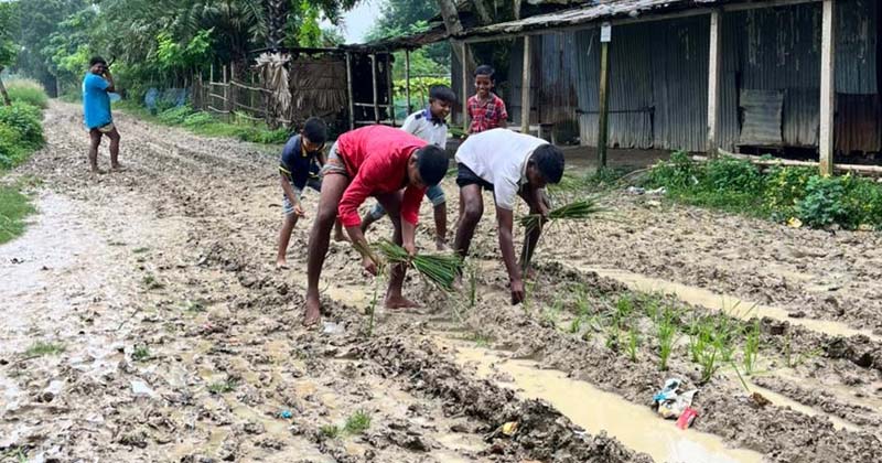 ছবি : প্রতিনিধি