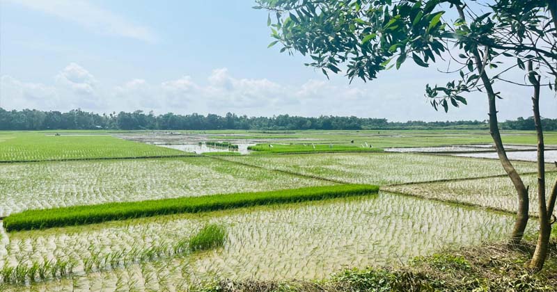 ছবি : প্রতিনিধি