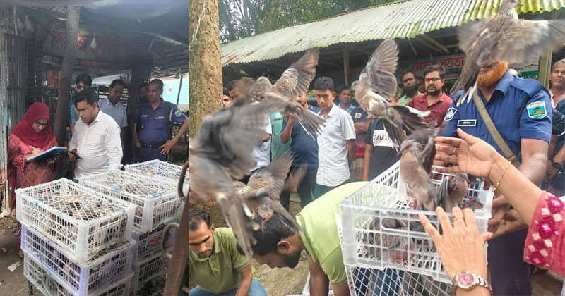 রাজশাহীতে ভ্রাম্যমাণ আদালতের অভিযান, ২০০টি পাখি অবমুক্ত