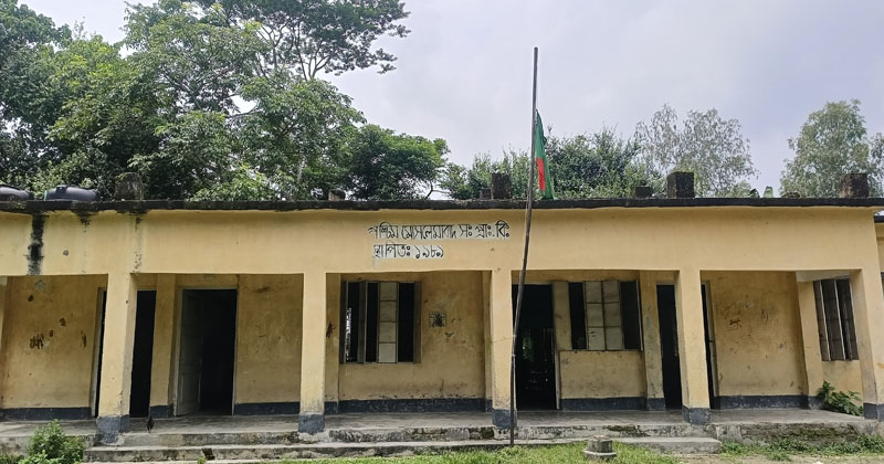 ছবি : প্রতিনিধি